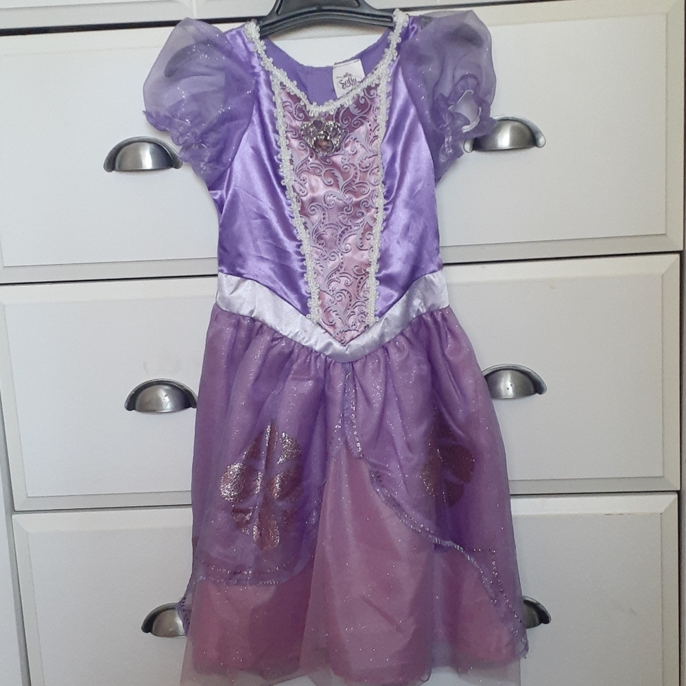 Toddler girls princess costume
